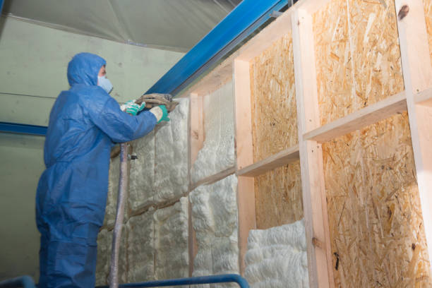 Best Insulation Replacement Services  in Liverpool, NY